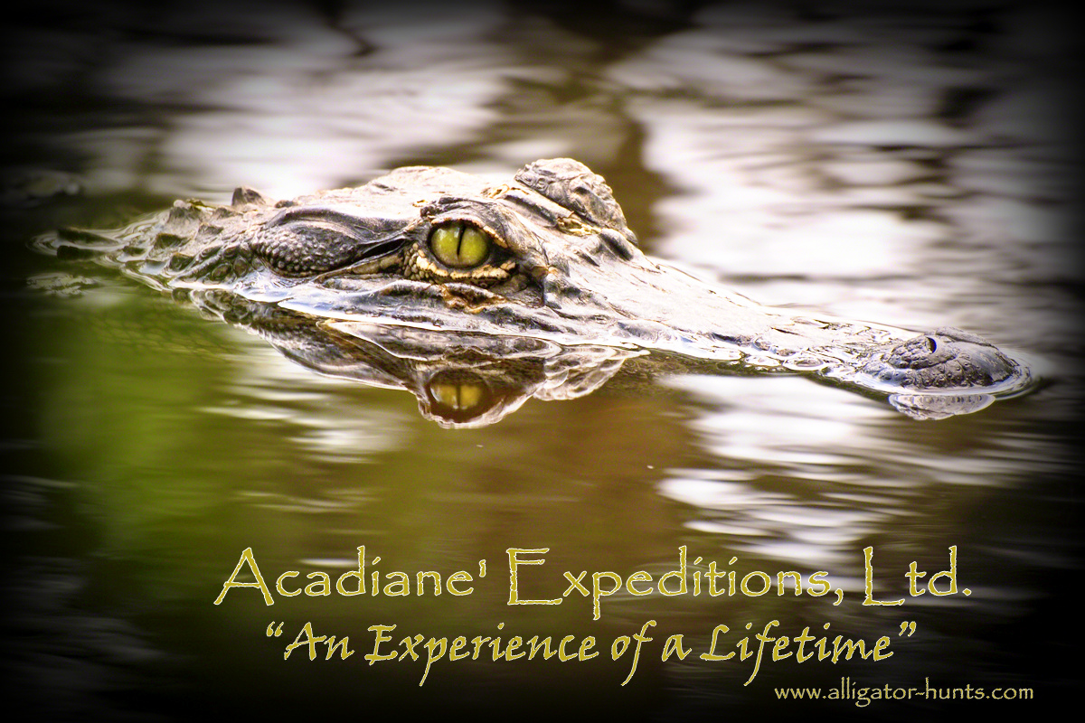 alligator hunting tours new orleans