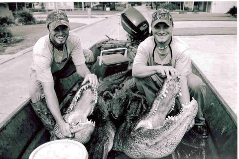 DJ & JACK Alligator Pic